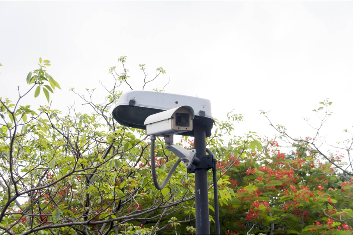 Homeowner Says His Neighbor's Security Camera Is Pointed Directly at His Garden and He Feels Watched Every Time He Goes Outside