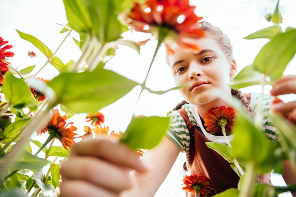 Homeowner Says His Neighbor's Teenage Daughter Keeps Picking His Flowers for Her Instagram Photos Without Ever Asking First