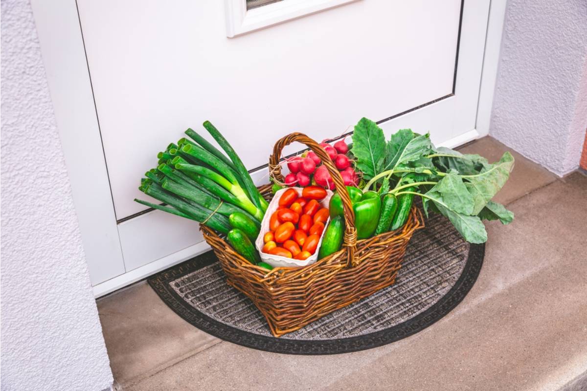 Homeowner Says She Left a Take What You Need Basket of Extra Vegetables by the Curb, Then Someone Started Showing Up With Bags to Clear It Out Entirely Every Single Time