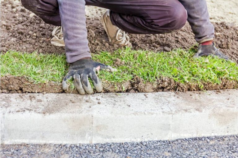 Homeowner Says a Contractor Hired by the City Damaged Her Garden While Repairing a Sidewalk, Now She's Stuck in a Months-Long Claims Process
