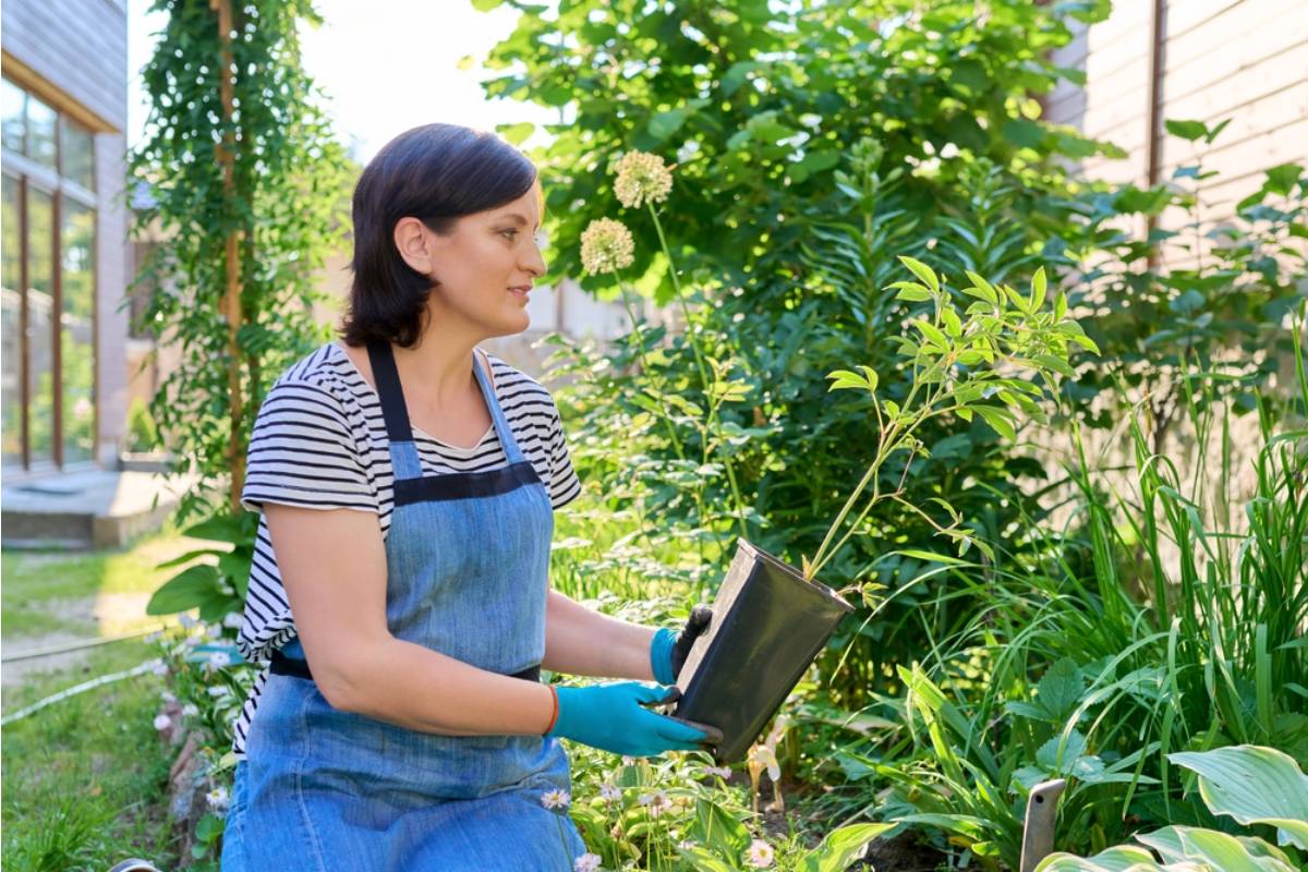 Homeowner Says a Neighbor's Kid Ripped Out Her Seedling Labels as a Prank, Now She Has No Idea What She Planted and the Parents Think It's Funny