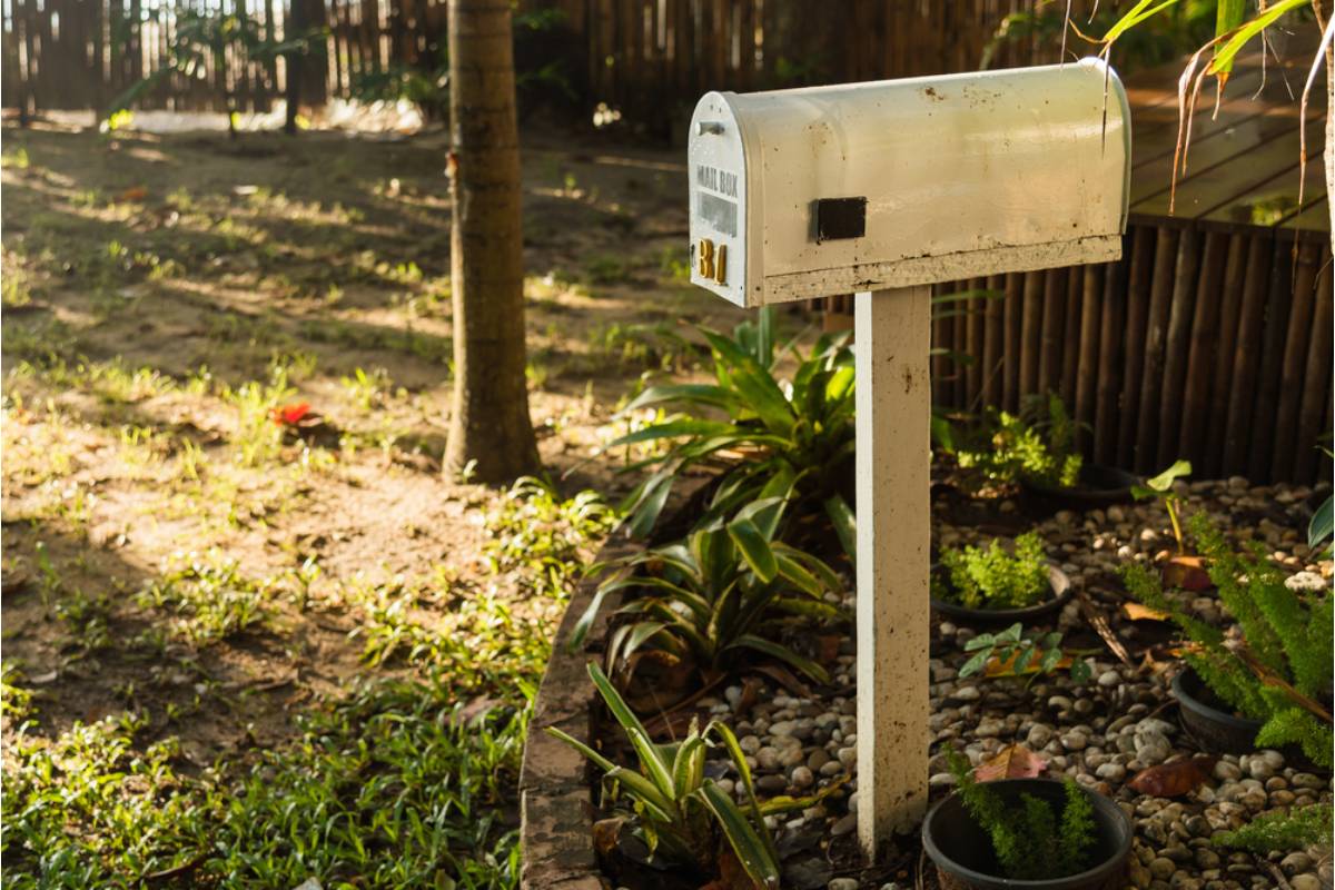 Homeowner Says a Neighbor's New Mailbox Post Was Installed Directly Into the Root Ball of His Established Maple Tree