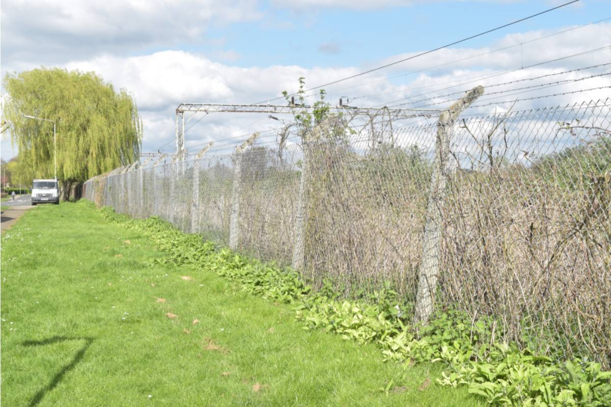 Homeowner Says a Neighbor's New Privacy Hedge Was Planted Directly Over a Shared Utility Line, Now Both of Their Gardens Are at Risk During Repairs