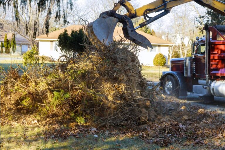 Homeowner Says a Property Management Company Took Over His Rental and Immediately Ordered His Tenant Garden Removed