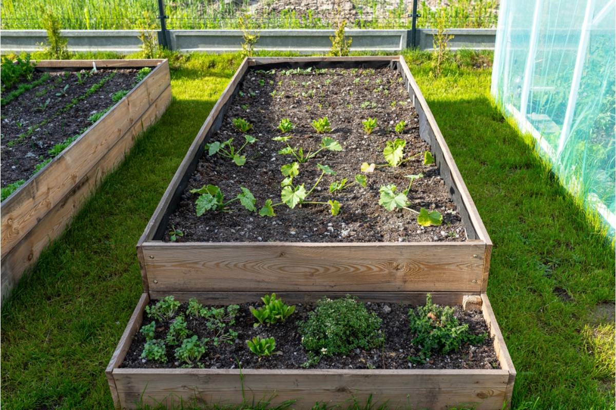 Landlord Says Tenant Turned the Entire Backyard Into a Garden Without Permission, Now He's Deciding Whether to Evict or Let It Stay