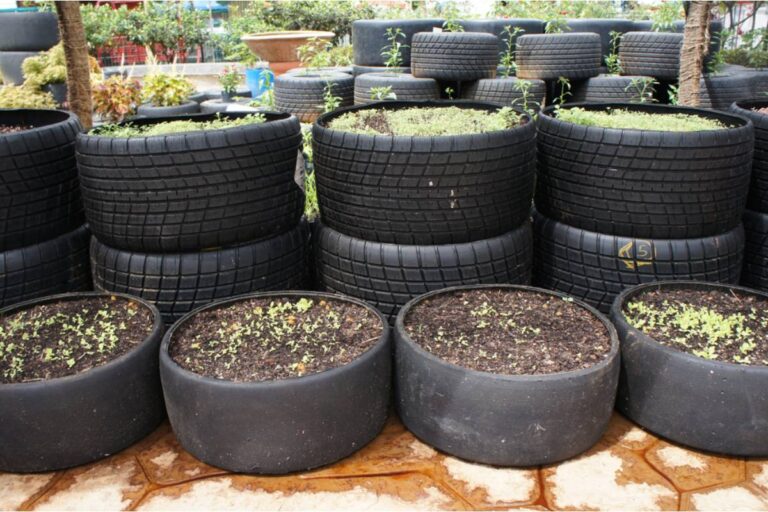 Some Backyard Gardeners Are Growing Potatoes Vertically in Stacked Tires, And the Yield Per Square Foot Is Making People Rethink Their Whole Garden Layout
