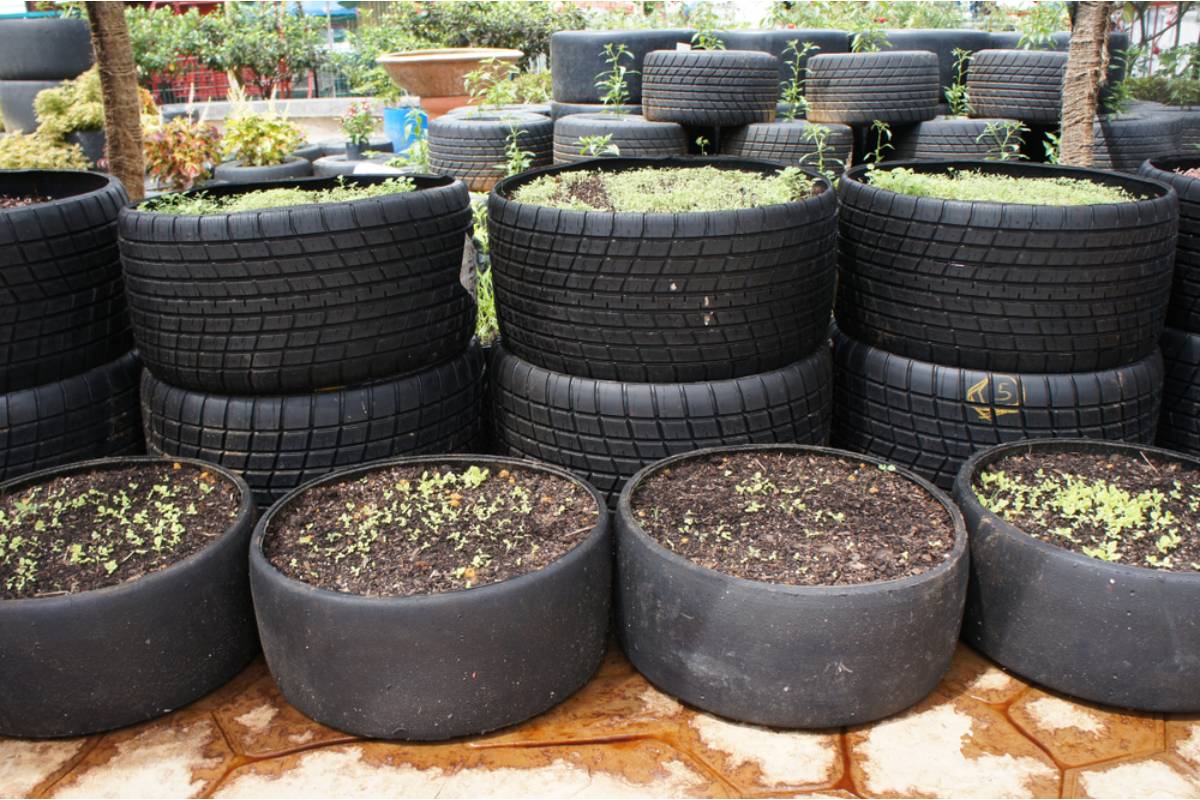 Some Backyard Gardeners Are Growing Potatoes Vertically in Stacked Tires, And the Yield Per Square Foot Is Making People Rethink Their Whole Garden Layout