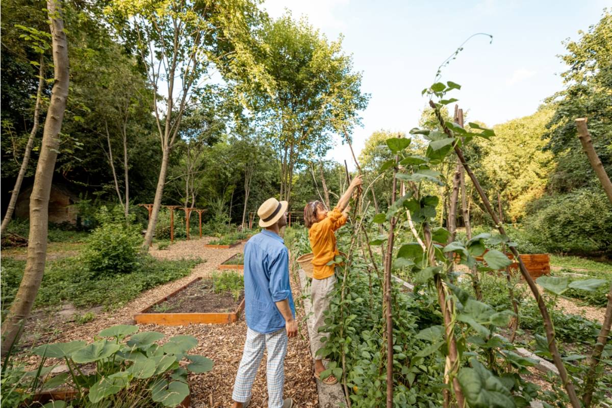 Some Couples Are Splitting Their Yard Into His-and-Hers Garden Sections After Disagreeing on Style, And It's Actually Working Better Than Expected