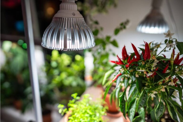 Some Gardeners Are Growing Vegetables Under Grow Lights in Their Garages Year-Round, And It's Cutting Their Grocery Bills in Ways They Didn't Expect