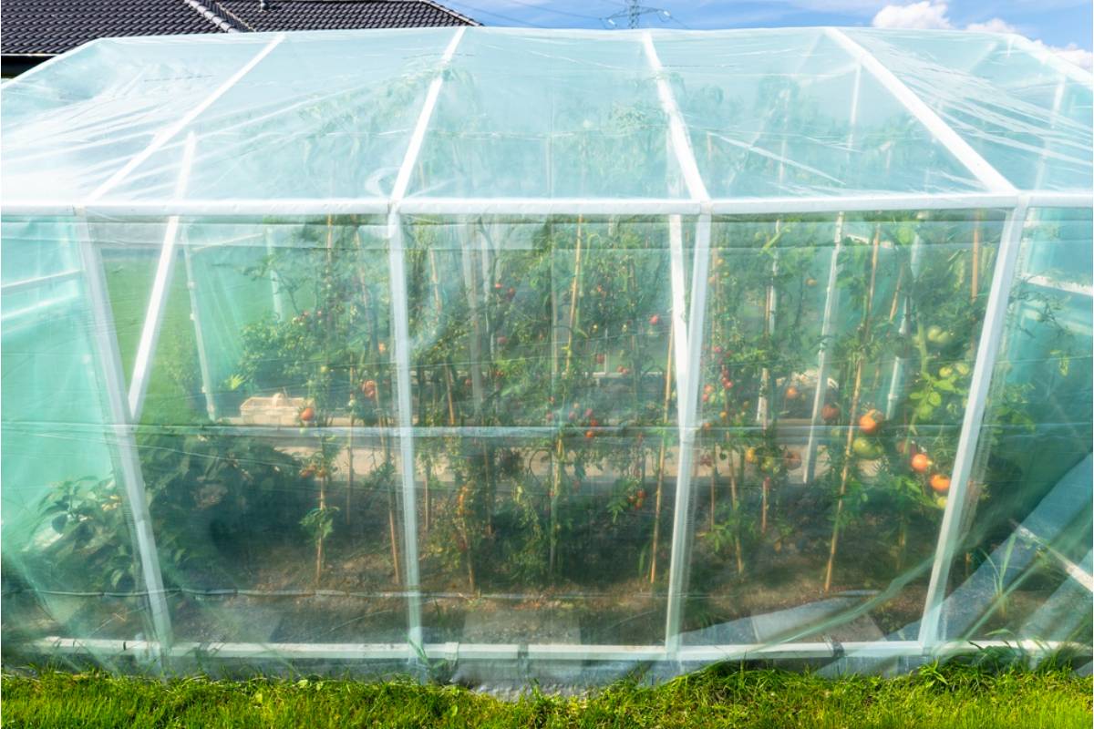 Some Home Gardeners Are Building Tiny Greenhouse Boxes From Old Storm Windows, And They're Keeping Plants Alive Through Frosts That Would Normally Kill Them
