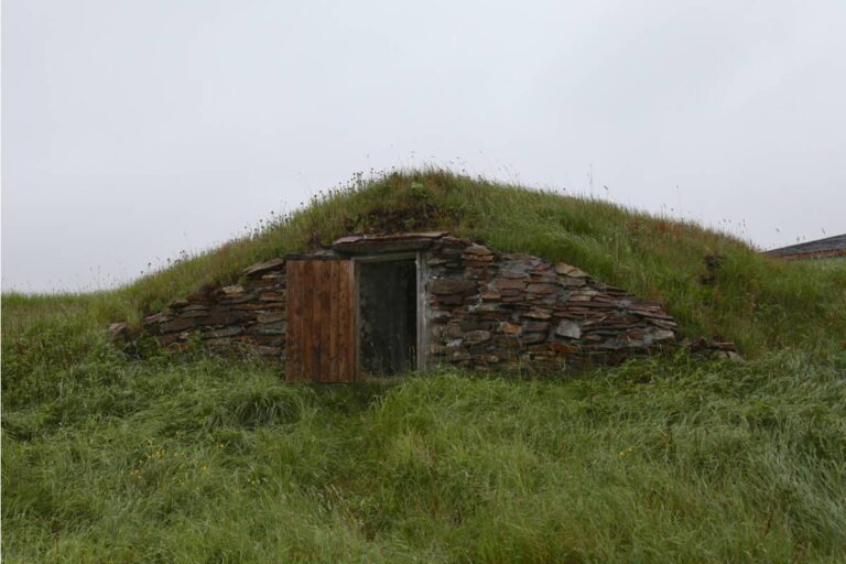 Some Home Gardeners Are Building Underground Root Cellars in Their Backyards to Store Harvests, And It's Changing How They Think About Buying Groceries