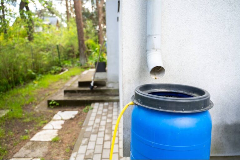 Some Home Gardeners Are Collecting Rainwater in Large Barrels, And Neighbors Are Reporting Them to the HOA, They Said It Was Against the Rules