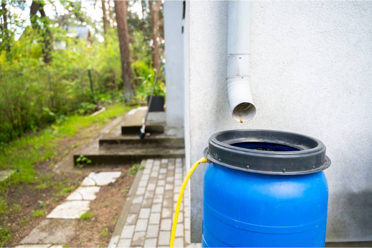 Some Home Gardeners Are Collecting Rainwater in Large Barrels, And Neighbors Are Reporting Them to the HOA, They Said It Was Against the Rules