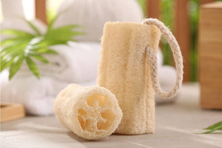 Some Home Gardeners Are Growing Their Own Loofahs From a Common Garden Vine, And Most People Have No Idea How Easy and Affordable It Actually Is