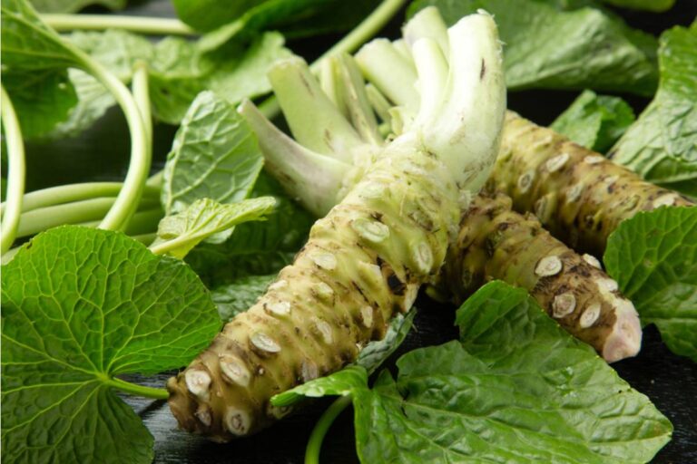 Some Home Gardeners Are Growing Their Own Wasabi in Shaded, Wet Garden Corners, And the Process Is Far More Involved Than People Expect