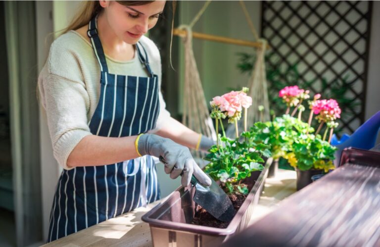 Some Home Gardeners Are Hiding Expensive Plants From Visitors, And It’s Sparking Debate Over Whether Garden Privacy Has Gone Too Far