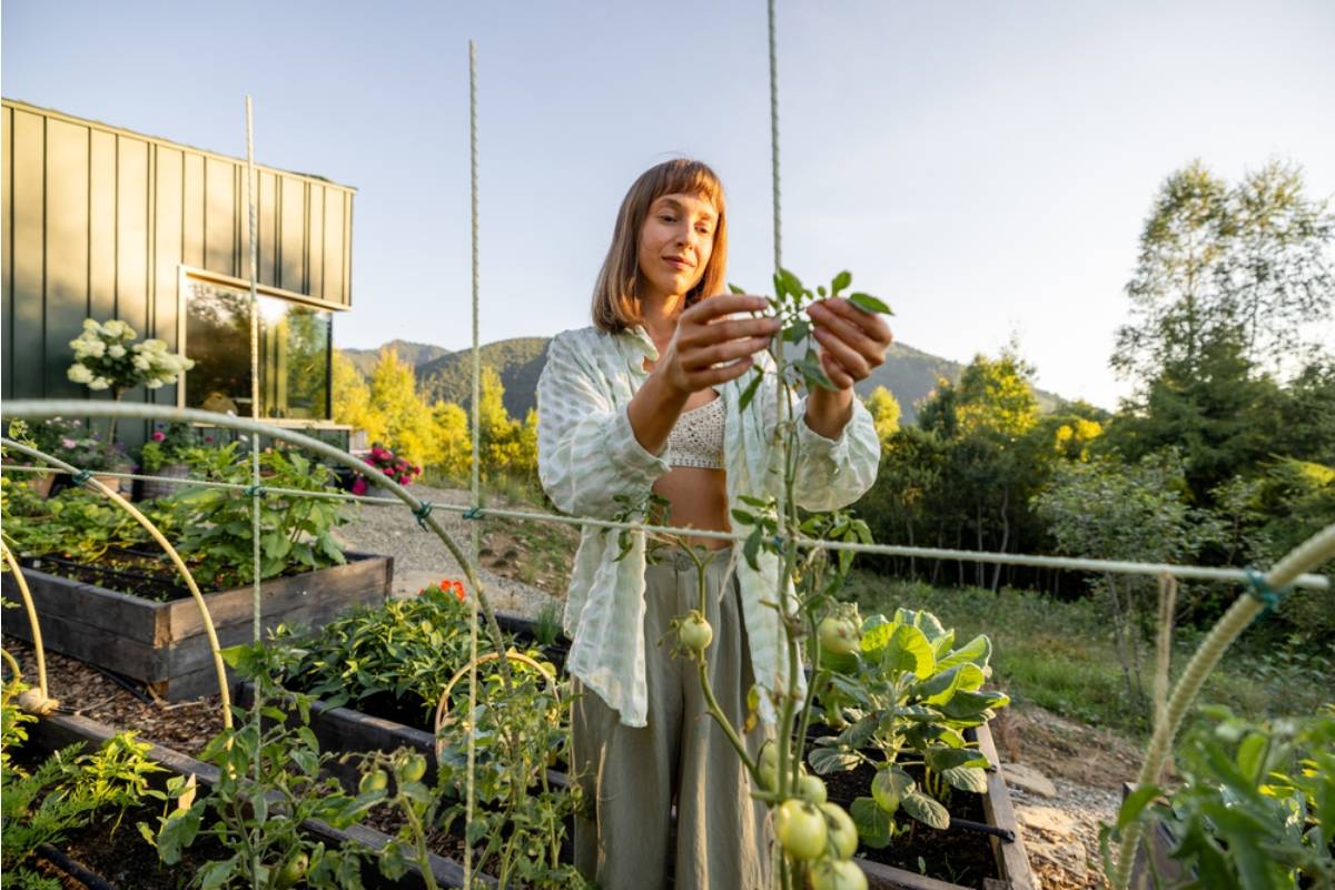 Some Home Gardeners Are Keeping Harvest Totals Private, And Neighbors Say Backyard Growing Has Become Surprisingly Competitive