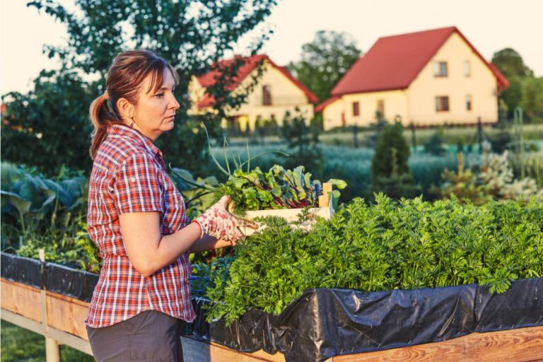 Some Home Gardeners Are Refusing to Grow Lawns for Their Children, And Parents Are Divided Over Whether Food Gardens Are Better Than Play Space