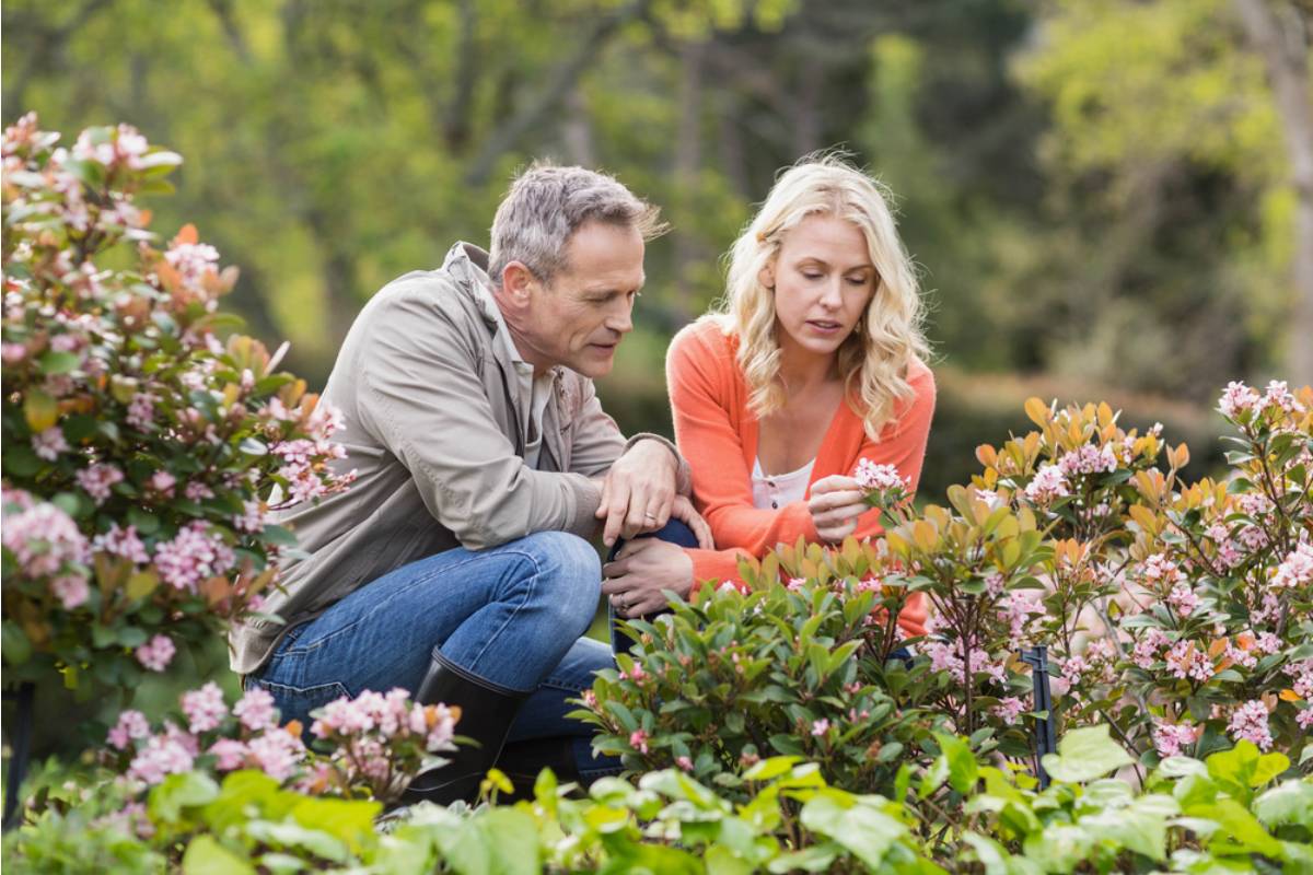 Some Home Gardeners Are Refusing to Tell Visitors What Certain Plants Are, And It’s Sparking Unexpected Arguments