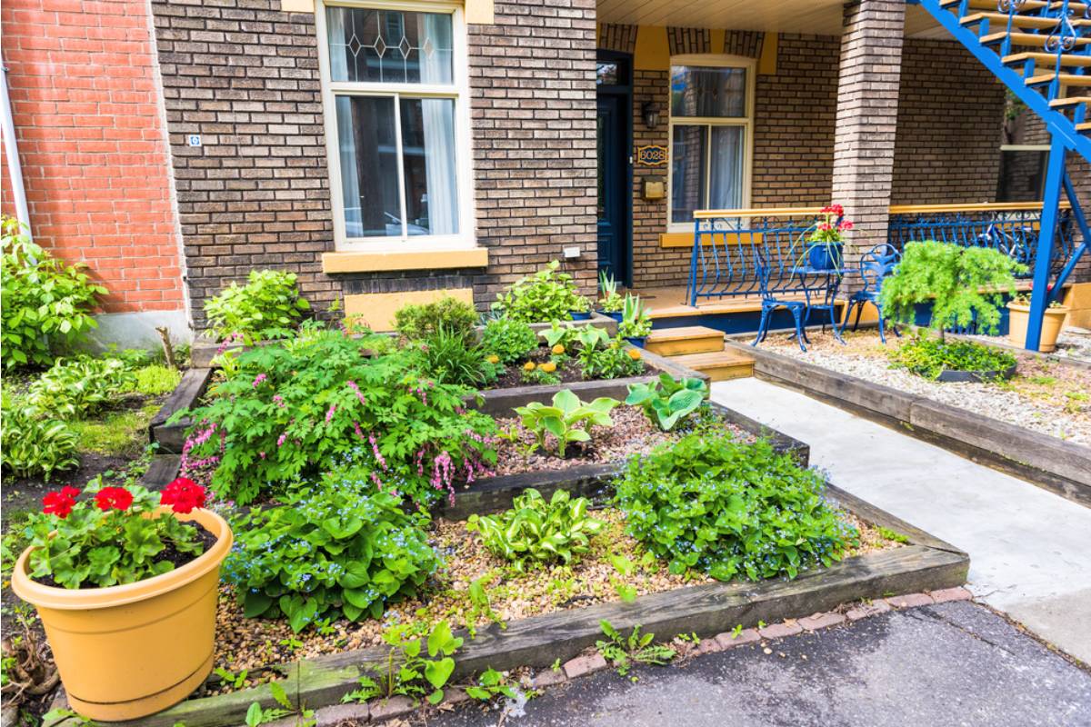 Some Home Gardeners Are Turning Their Front Yards Into Full Produce Gardens, And Passersby Keep Helping Themselves Without Asking