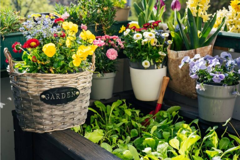Some Homeowners Are Growing Edible Flowers Alongside Their Vegetables for Both Looks and Flavor, And Restaurants Are Starting to Take Notice of Backyard Growers