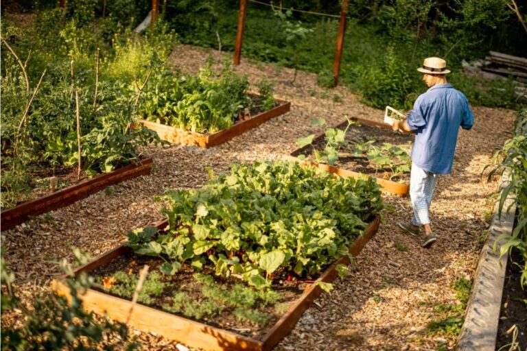 Some Homeowners Are Renting Out Small Garden Plots to Neighbors, And It’s Creating Unexpected Arguments Over Rules and Responsibilities