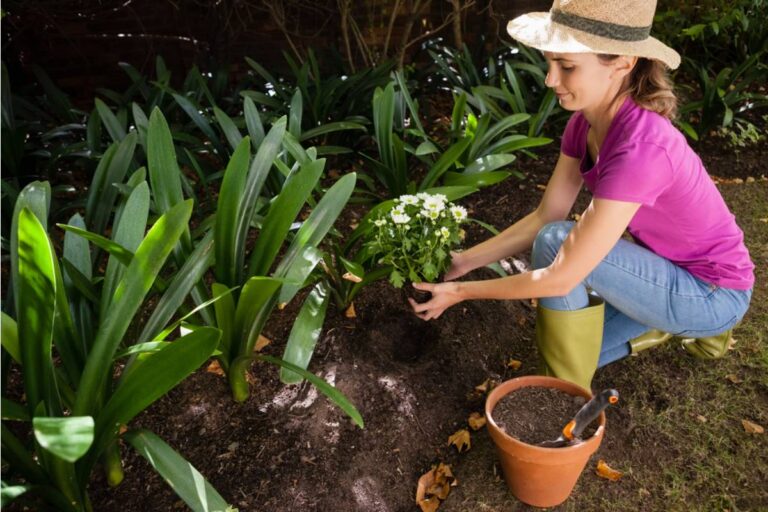 Some People Are Discovering Decades-Old Gardens Planted by Previous Homeowners When They Buy a House, And the Surprises Are Wildly Mixed