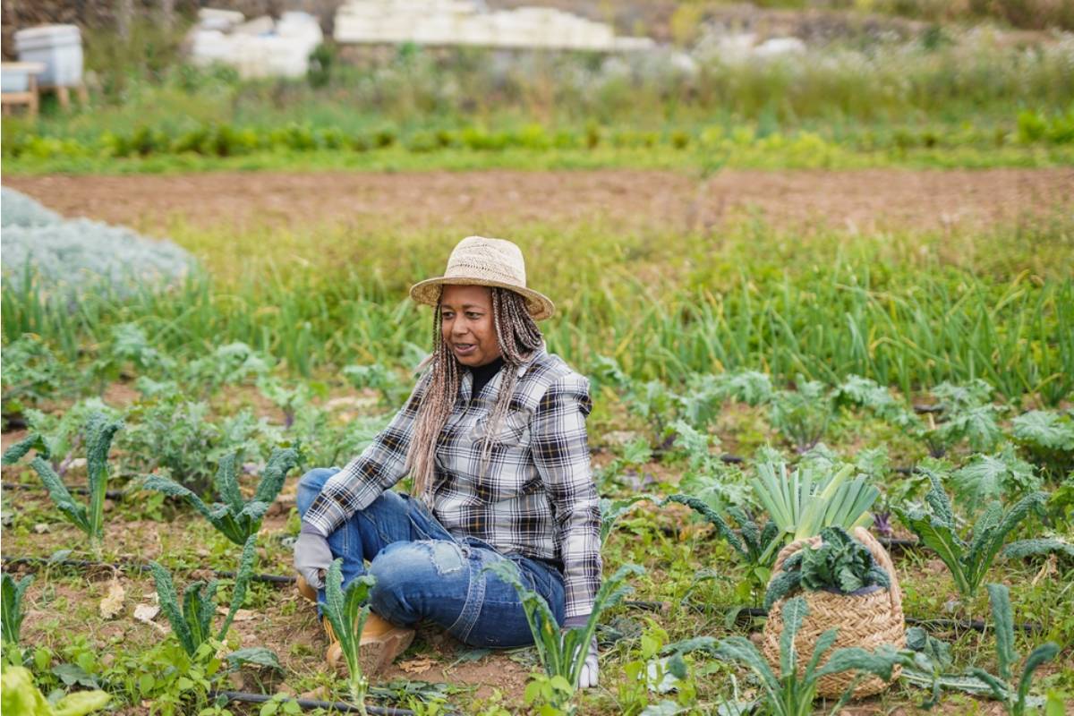 Some Retirees Are Spending Their Savings Converting Backyards Into Full Working Farms, And Their Adult Children Are Questioning the Decision