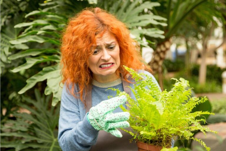 This Is the One Garden Mistake Almost Every First-Time Grower Makes in Their First Season