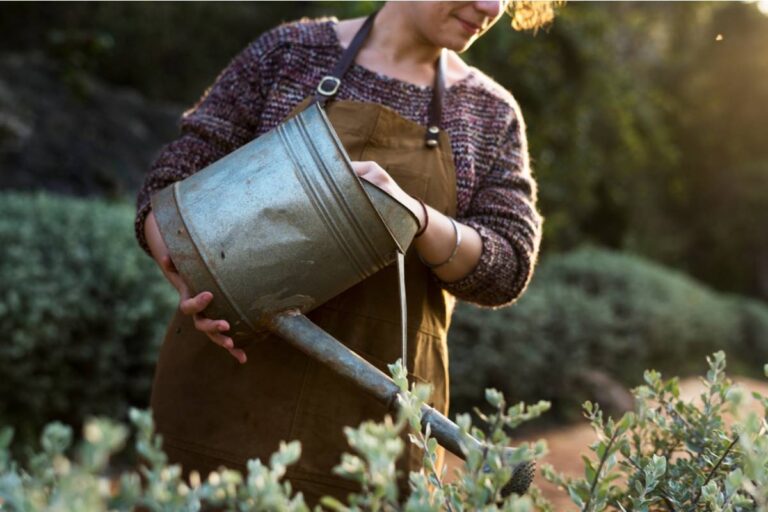 What Happens When You Stop Watering Your Lawn for an Entire Summer, According to People Who Tried It