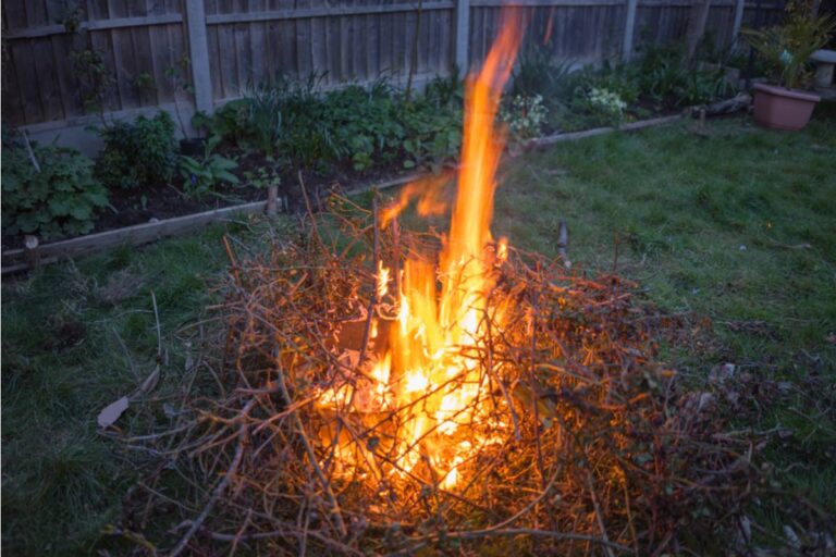 Homeowner Says His Neighbor's Bonfire Tradition Every Fall Leaves Ash Coating His Garden Beds for Weeks Afterward