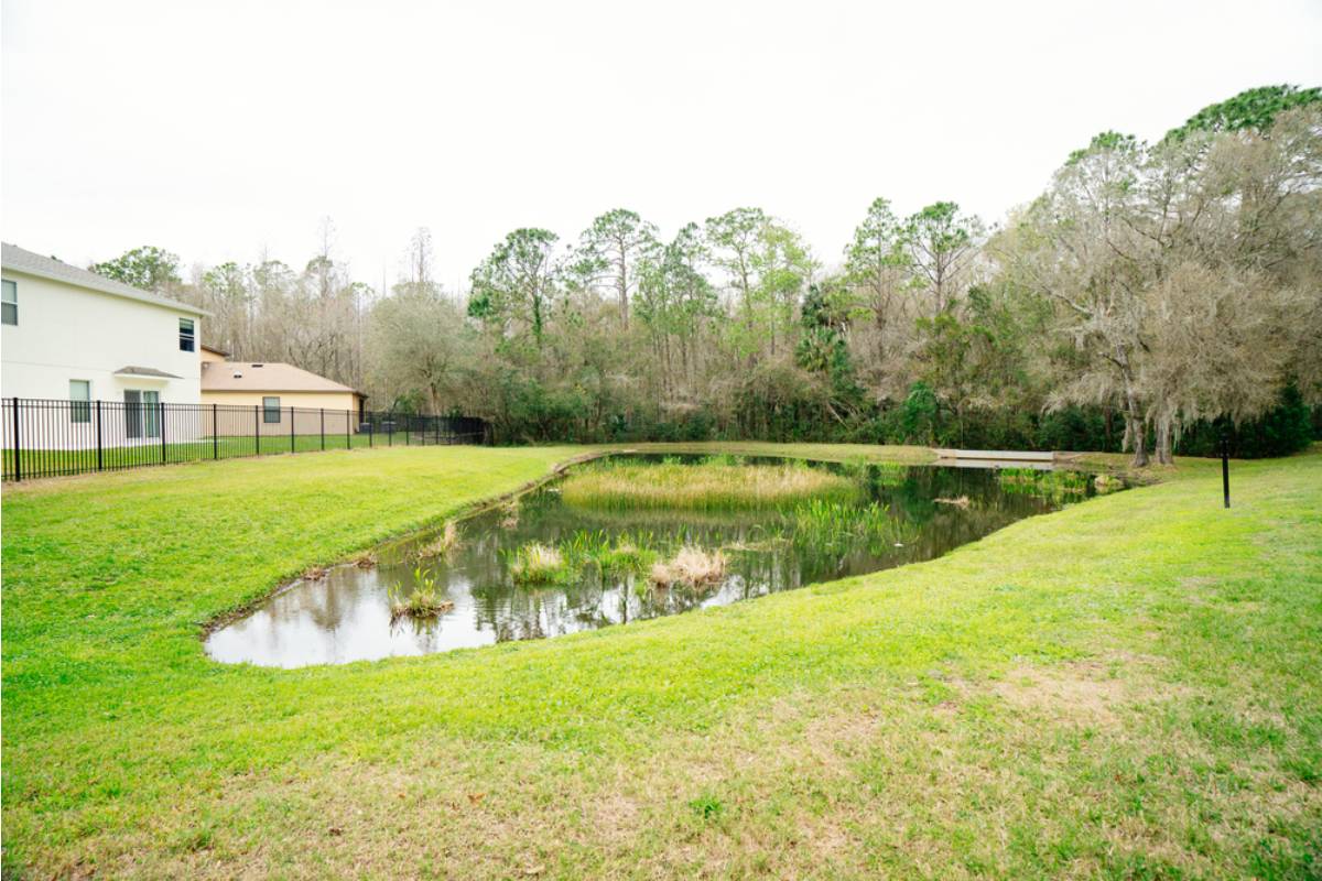 Gardener Says Her Insurance Company Dropped Her Coverage After Citing Her Backyard Pond as a "Liability," Now She's Searching for a New Provider