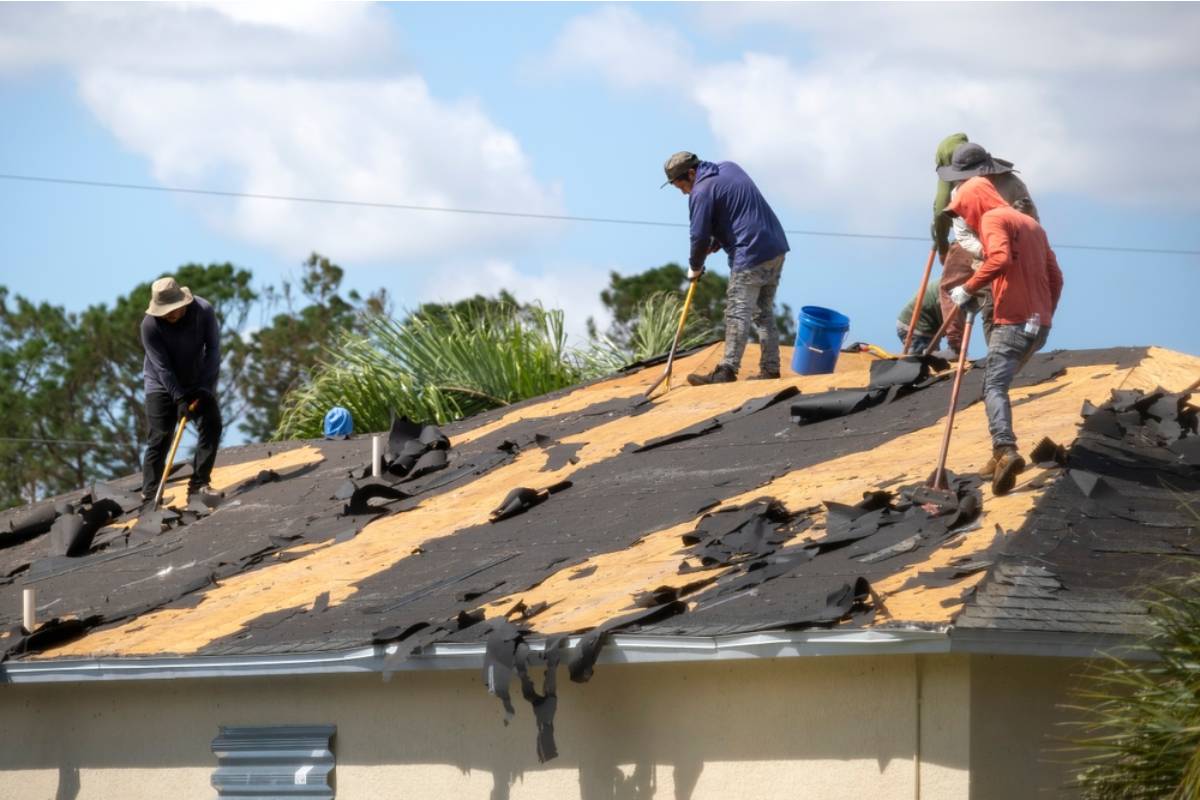 Homeowner Says His Neighbor's Roofing Crew Tossed Old Nails Into a Pile That Landed Right on Top of His Garden Beds