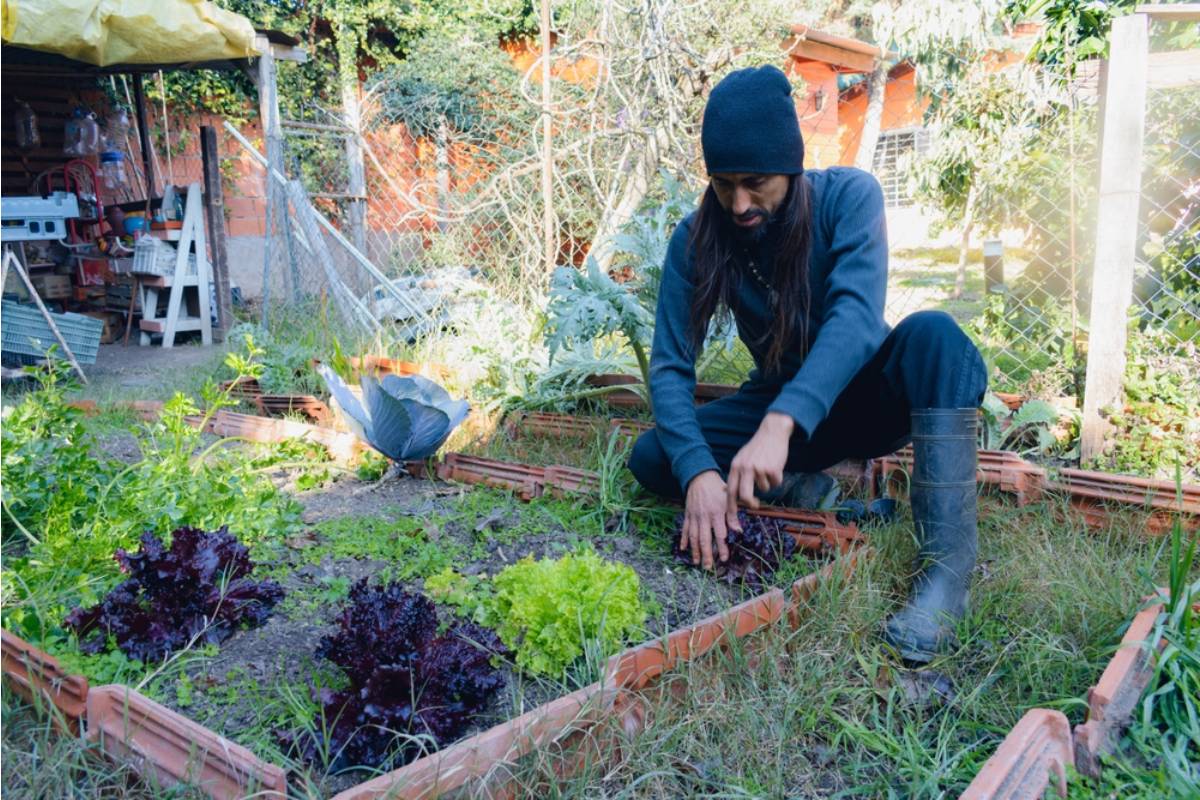 Homeowner Says His Brother Moved In "Temporarily" and Has Slowly Taken Over Half the Garden for His Own Side Project