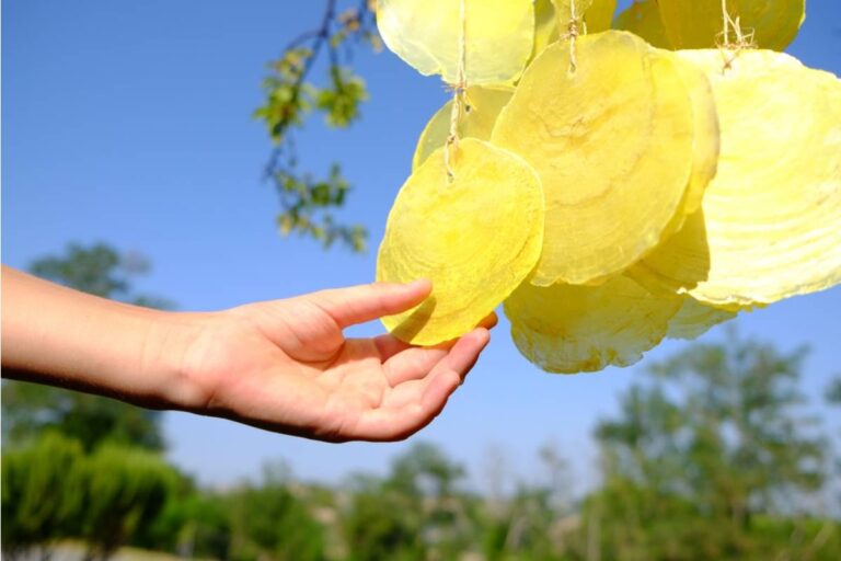 Gardener Says Her Neighbor Filed a Noise Complaint Over the Sound of Her Wind Chimes That She Has Had Hanging in the Same Spot for Six Years
