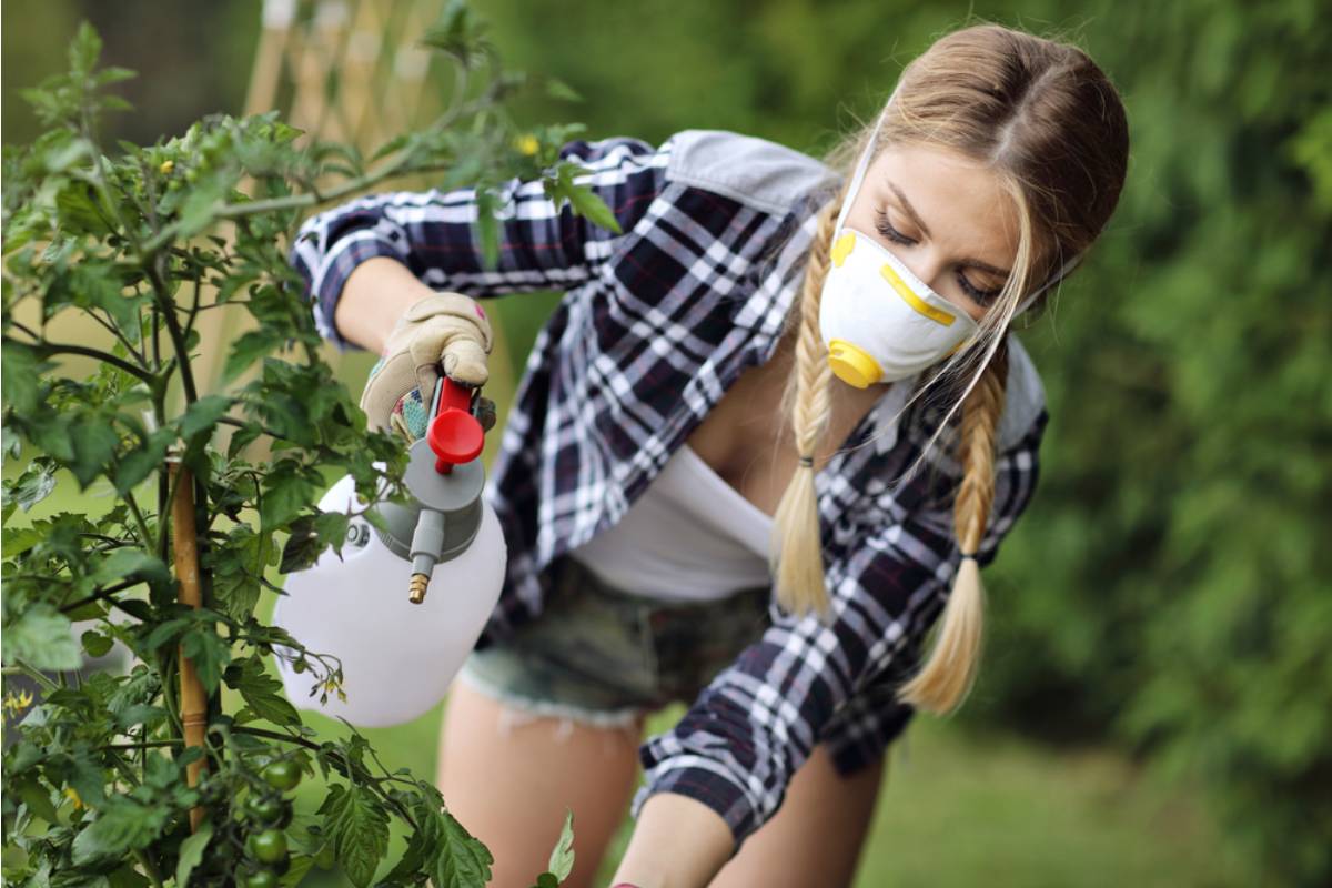 Gardener Says Her Neighbor Has Been Telling Everyone She Uses Pesticides on Her Organic Garden Ever Since She Refused to Give Him Free Produce Last Summer