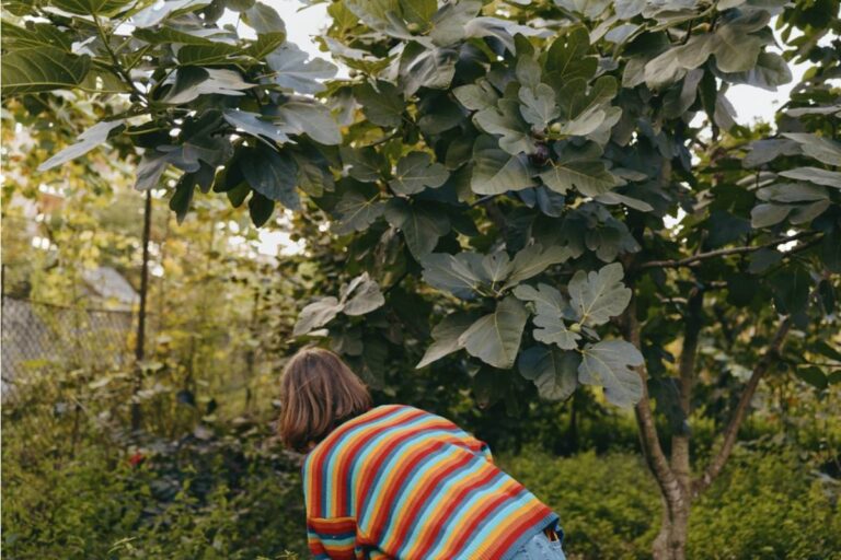 Gardener Says She Built a Stunning Shade Garden Under a Tree Everyone Told Her Was Too Dark to Grow Anything Under