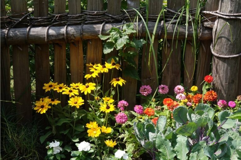Gardener Says She Built a Thriving Pollinator Garden Over Four Years, Then the City Widened the Sidewalk and Removed Every Single Plant Without Prior Notice