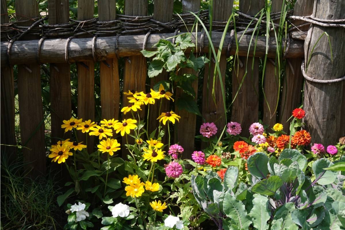 Gardener Says She Built a Thriving Pollinator Garden Over Four Years, Then the City Widened the Sidewalk and Removed Every Single Plant Without Prior Notice