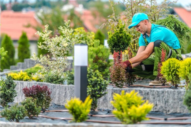 Gardener Says She Discovered Her Landscaper Has Been Taking Cuttings From Every High End Client's Yard and Replanting Them in His Own Nursery to Resell