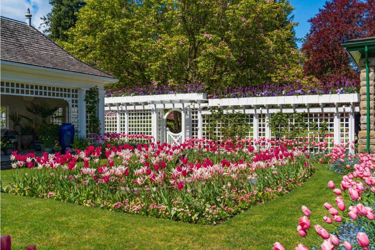 Gardener Says She Discovered Her Neighbor Has Been Charging Locals for Garden Tours Using Photos of Her Yard in the Promotional Flyer