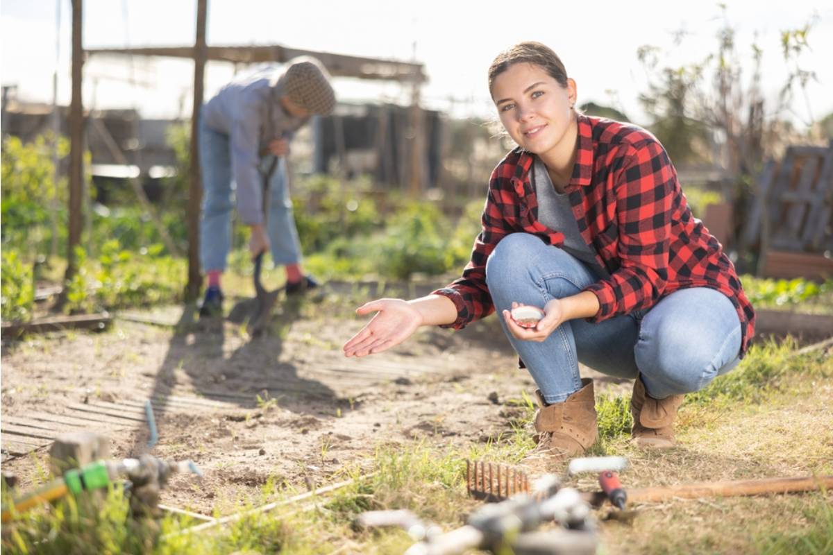 Gardener Says She Found Out Her Community Garden Plot Was Reassigned While She Was in the Hospital, Now Someone Else Has Already Planted It