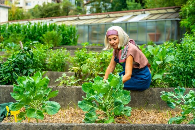 Gardener Says She Found Out the Woman Who Complained About Her Garden the Most Has Been Secretly Taking Photos of It for Inspiration Every Week