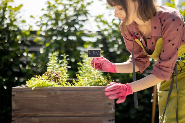 Gardener Says She Has Been Maintaining a Community Herb Garden Alone for Two Years, Then a Neighbor Who Never Once Helped Showed Up to Harvest on the Day Everything Came In
