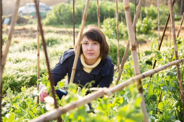 Gardener Says She Has Been Quietly Documenting Every Time a Neighbor Enters Her Yard Without Permission, Now She Has Fourteen Incidents in Six Weeks