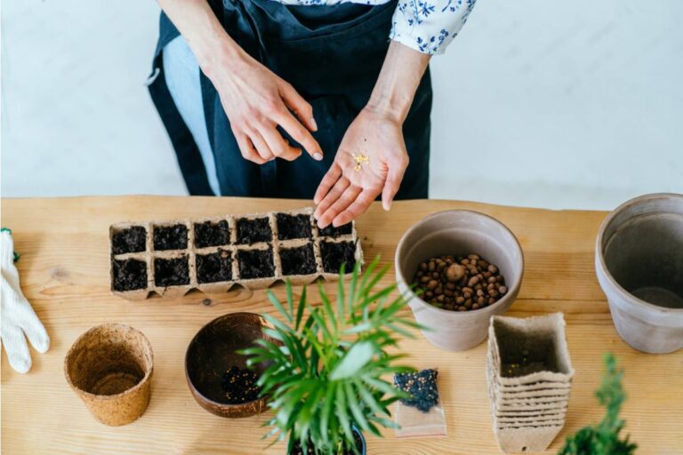 Gardener Says She Organized a Neighborhood Seed Swap That Grew to Over Forty Families, Then a Neighbor Registered It as a Business and Started Charging an Entry Fee Without Telling Her