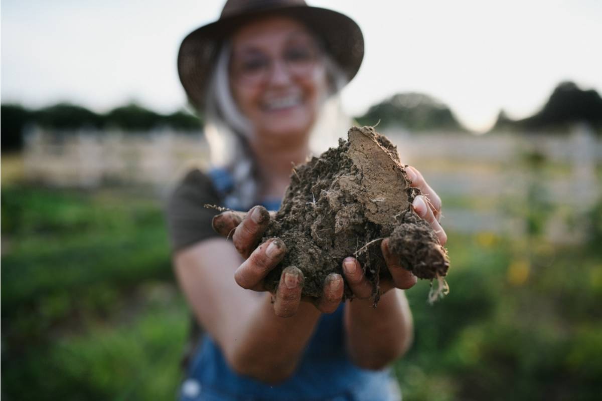 Gardener Says She Spent Four Seasons Developing the Perfect Raised Bed Soil Mix, Then Her Husband Topped Every Bed With Bagged Topsoil From a Gas Station While She Was Away