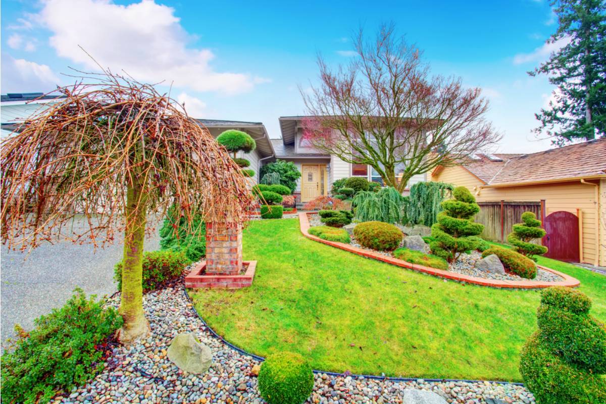 Gardener Says She Spent Four Years Perfecting Her Front Yard Cottage Garden, Then a New Neighbor Moved In and Immediately Started a Campaign to Have It Reclassified as a Weed Lot