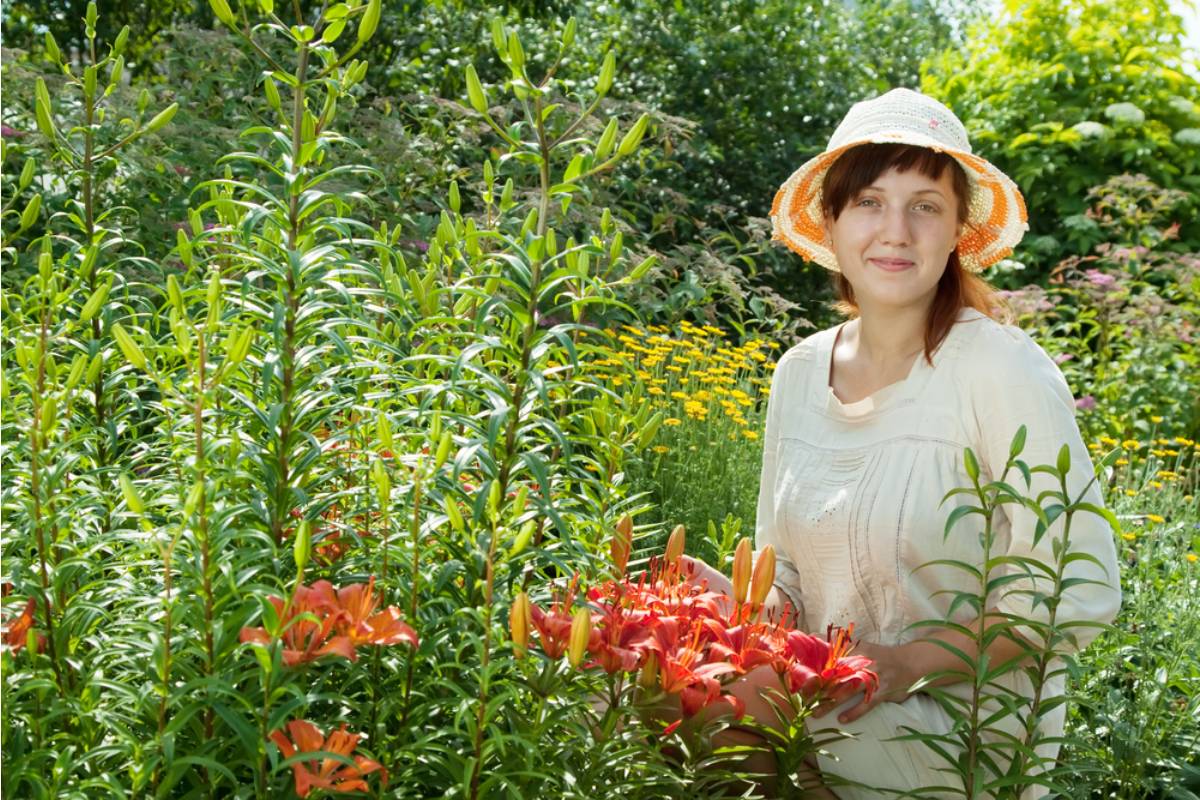 Gardener Says She Spent Years Building a Garden Her Late Husband Designed, Then the New Neighbor Asked Her to Scale It Back Because It Was Too Much to Look At