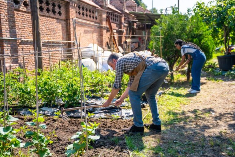 Gardener Says She Taught a Free Community Gardening Workshop for Two Seasons, Then Found Out a Neighbor Has Been Running Paid Classes Using Her Exact Notes and Handouts